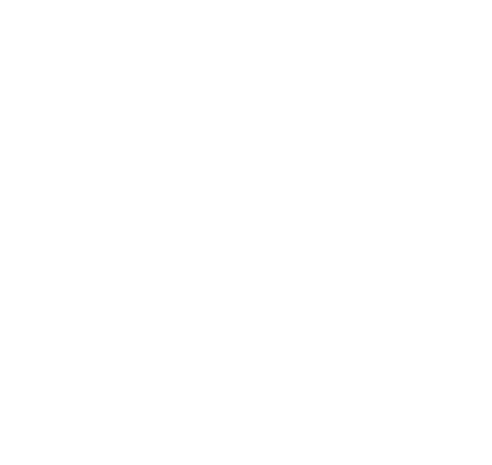 ana-logo-new-white